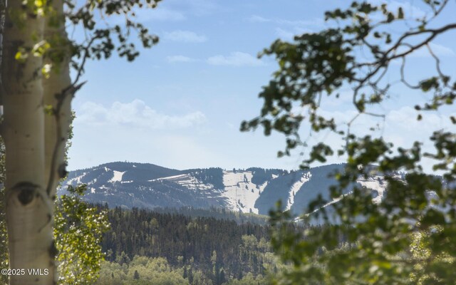 46 Jasmine, Avon, CO 81620 - mountain view featuring a heavily wooded area