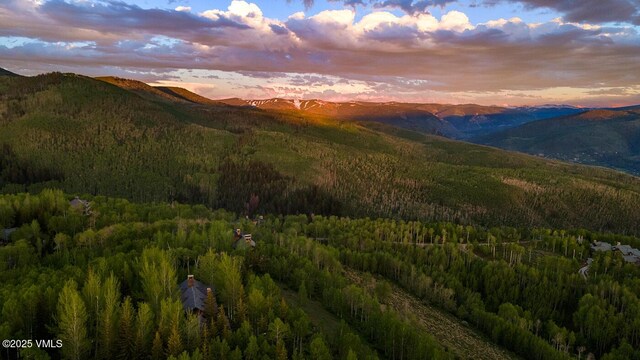 46 Jasmine, Avon, CO 81620 - view of mountain background featuring a forest