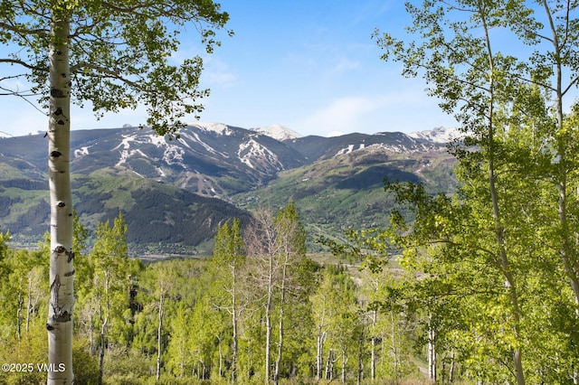 46 Jasmine, Avon, CO 81620 - mountain view