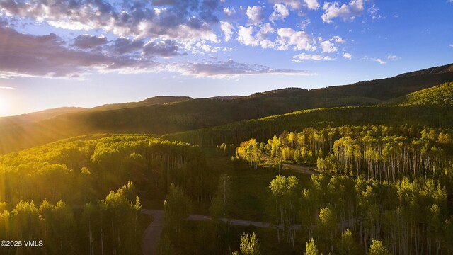 46 Jasmine, Avon, CO 81620 - view of mountain backdrop featuring a forest