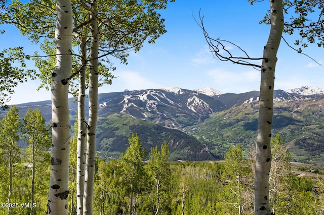 46 Jasmine, Avon, CO 81620 - view of mountain background
