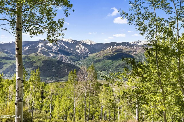 view of mountain feature