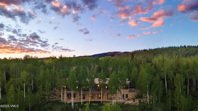 46 Jasmine, Avon, CO 81620 - view of mountain backdrop with a forest