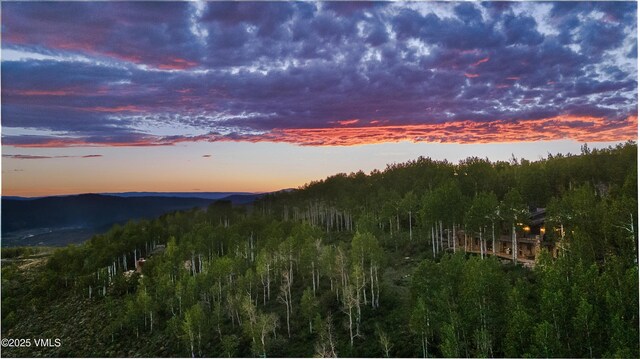46 Jasmine, Avon, CO 81620 - view of mountain background with a forest