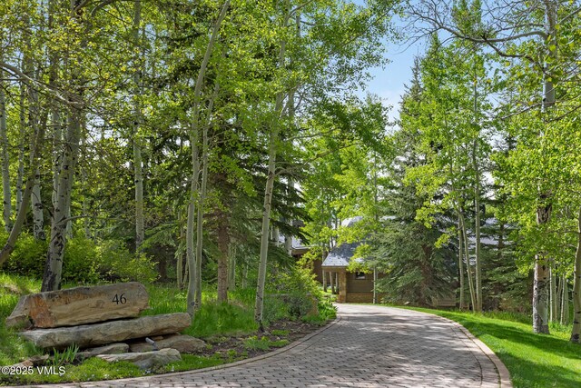46 Jasmine, Avon, CO 81620 - view of decorative driveway