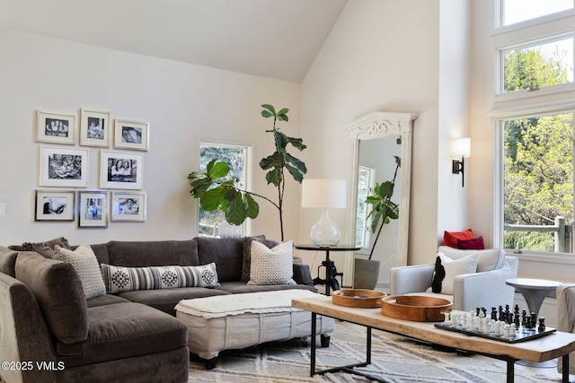 2036 Vermont Rd, Vail, CO 81657 - living area featuring high vaulted ceiling