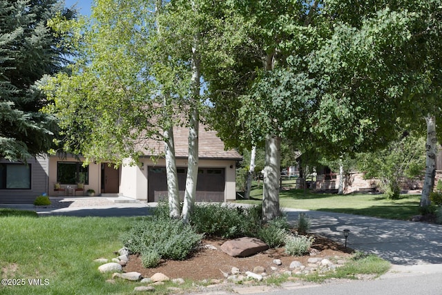 50 Hereford Rd, Edwards, CO 81632 - view of property hidden behind natural elements with a front lawn, driveway, and stucco siding
