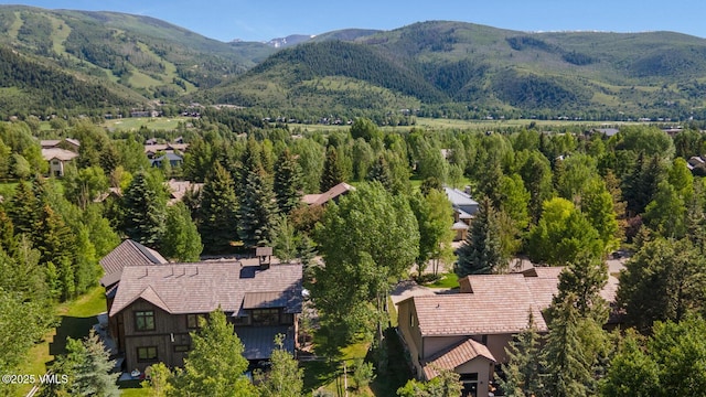 50 Hereford Rd, Edwards, CO 81632 - drone / aerial view of a mountainous background