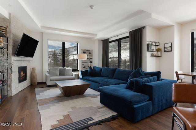 living area featuring hardwood / wood-style floors and a fireplace