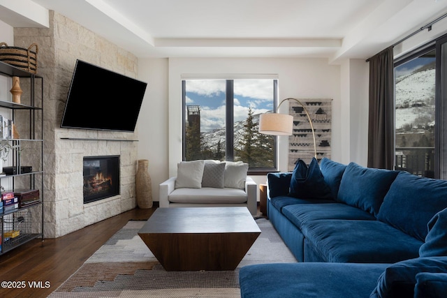 living area featuring a fireplace and wood finished floors