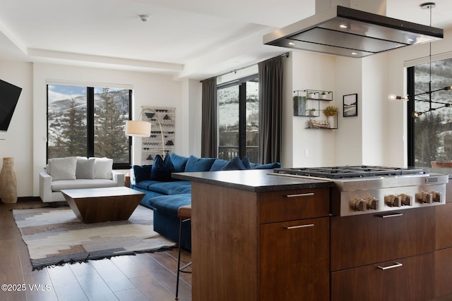 bar with exhaust hood, wood finished floors, a wealth of natural light, and stainless steel gas cooktop