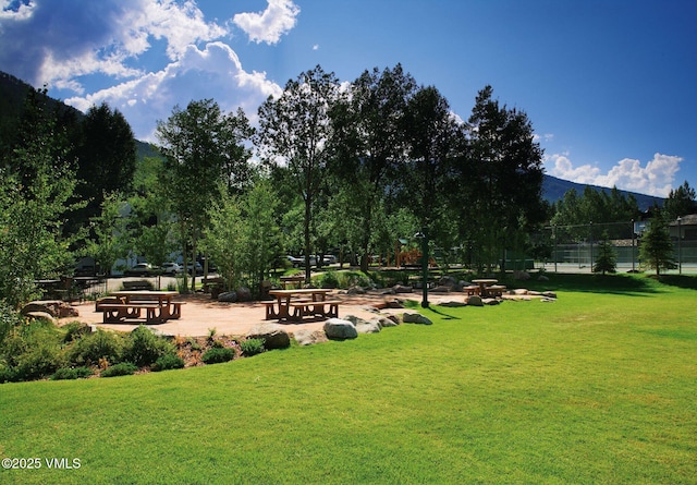 view of home's community featuring a mountain view and a lawn