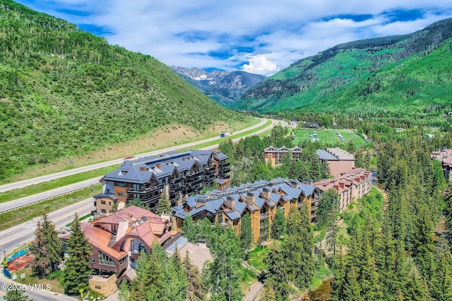 434 S Frontage Rd E Unit 403, Vail, CO 81657 - mountain view