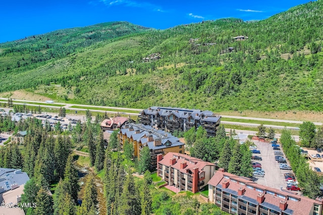 434 S Frontage Rd E Unit 403, Vail, CO 81657 - bird's eye view of a forest and a mountainous background