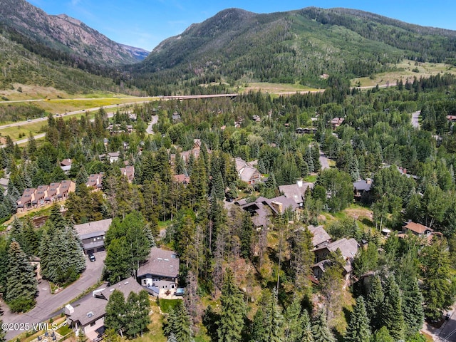 4916 Juniper Ln, Vail, CO 81657 - view of property location featuring a heavily wooded area and a mountain backdrop