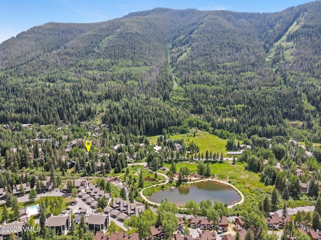 4916 Juniper Ln, Vail, CO 81657 - aerial view of a forest and a water and mountain view