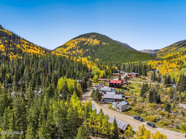 25850 County Road 162, Buena Vista, CO 81211 - photo 4