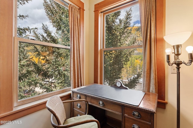 25850 County Road 162, Buena Vista, CO 81211 - photo 41