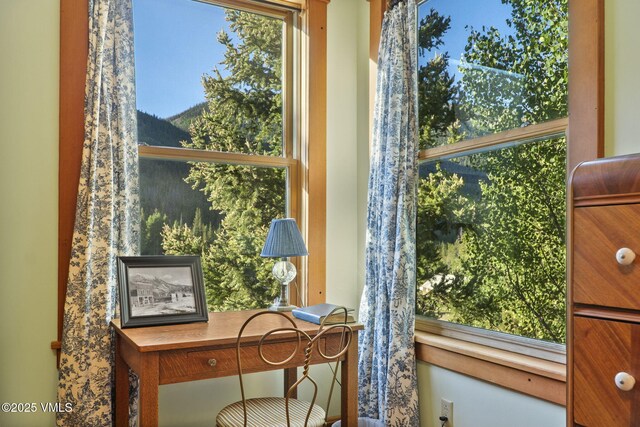 25850 County Road 162, Buena Vista, CO 81211 - photo 36