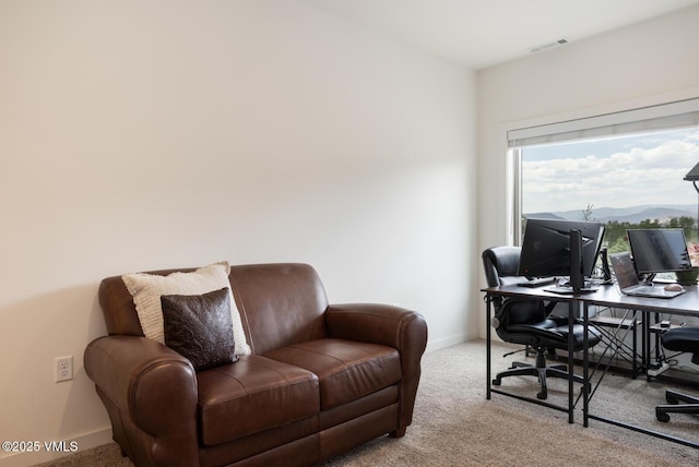 4 Uneva Ct Unit B1, Eagle, CO 81631 - photo 20