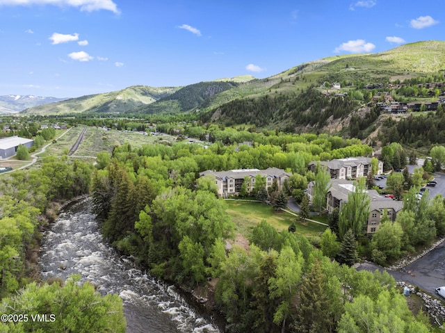 55 River Pines Ct Unit A302, Edwards, CO 81632 - view of mountain background