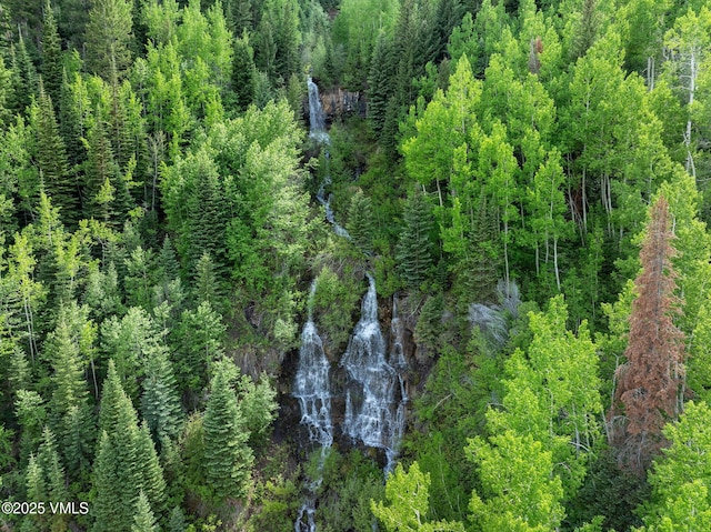 4470 Timber Falls Ct Unit 1407, Vail, CO 81657 - aerial view of a forest