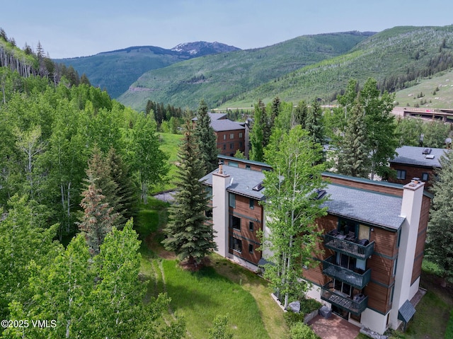 4470 Timber Falls Ct Unit 1407, Vail, CO 81657 - mountain view