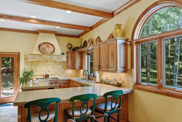 30 Holden Pl, Beaver Creek, CO 81620 - photo 9