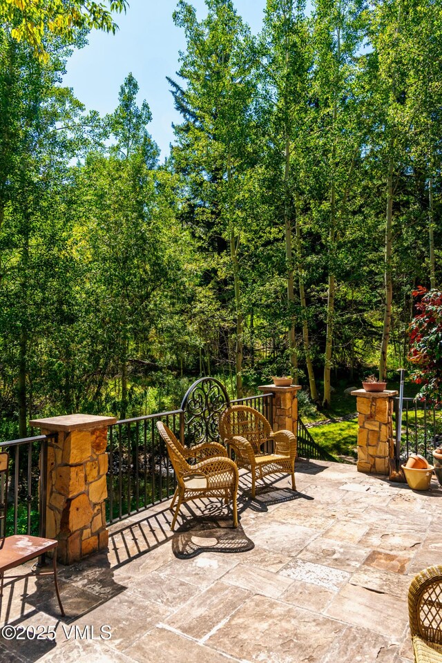 30 Holden Pl, Beaver Creek, CO 81620 - photo 6