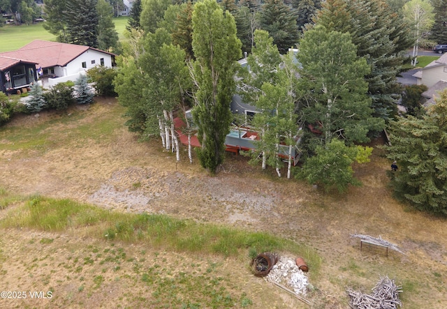 94 Lupine Ln, Eagle-Vail, CO 81620 - photo 59