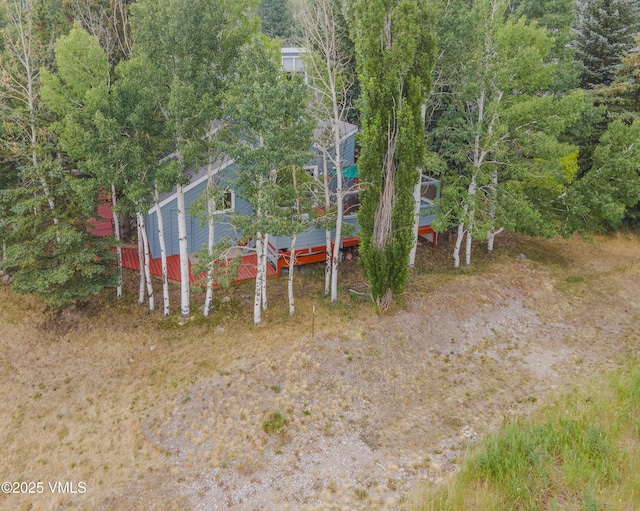 94 Lupine Ln, Eagle-Vail, CO 81620 - photo 60