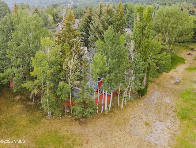 94 Lupine Ln, Eagle-Vail, CO 81620 - photo 63