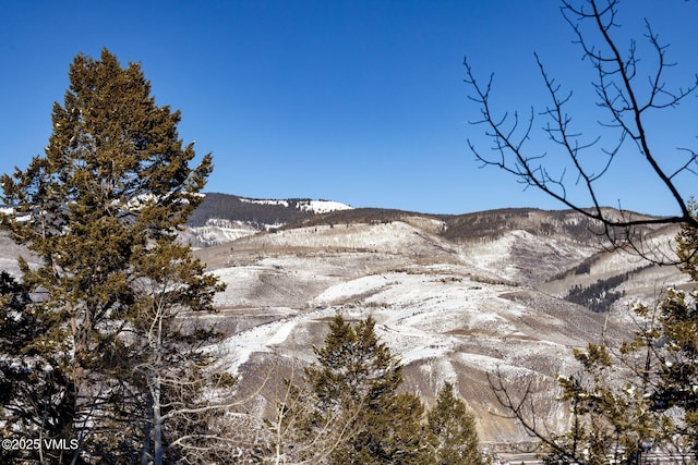 view of mountain feature