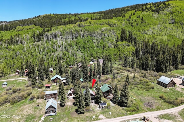 245 Main St, Eagle, CO 81631 - bird's eye view of a forest