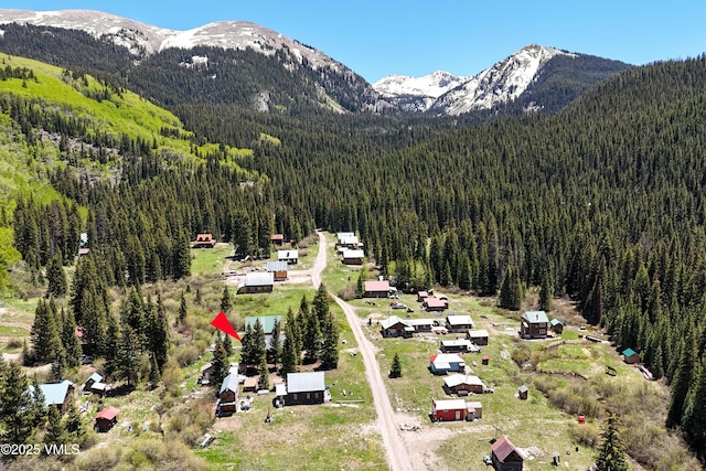 245 Main St, Eagle, CO 81631 - mountain view featuring a heavily wooded area