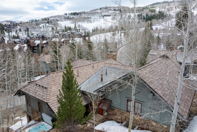 50 Buckhorn Ln, Avon, CO 81620 - photo 38