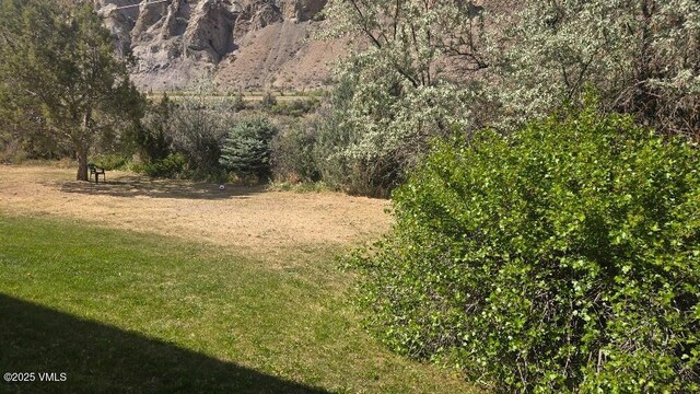 600 Price Ln Unit 6, Gypsum, CO 81637 - view of grassy yard