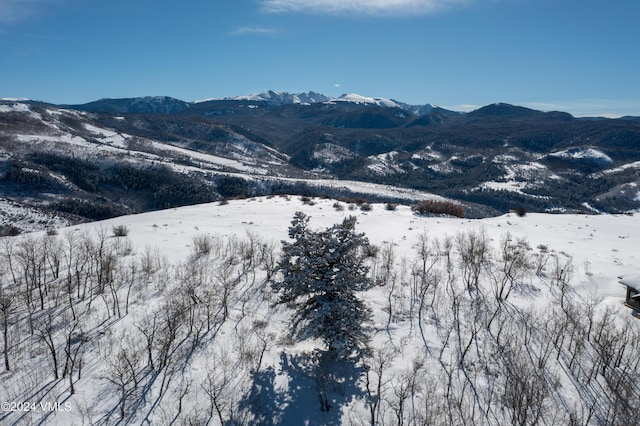 818 Webb Peak, Edwards, CO 81632 - photo 8