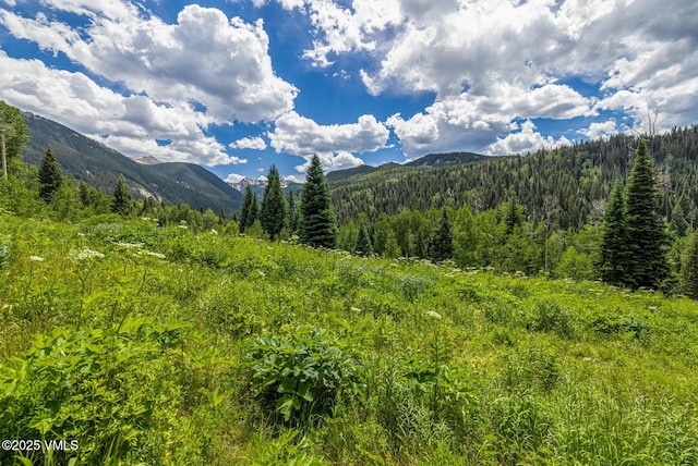 801 Holy Cross Dr, Edwards, CO 81632