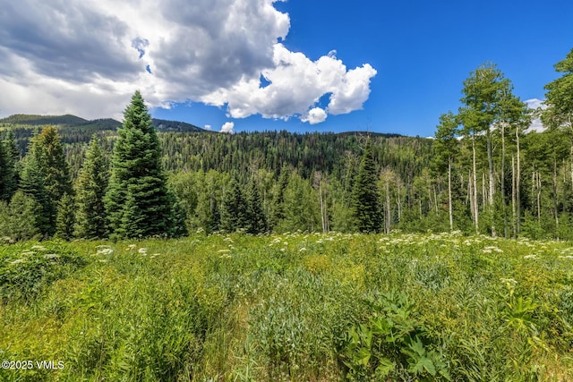 801 Holy Cross Dr, Edwards, CO 81632