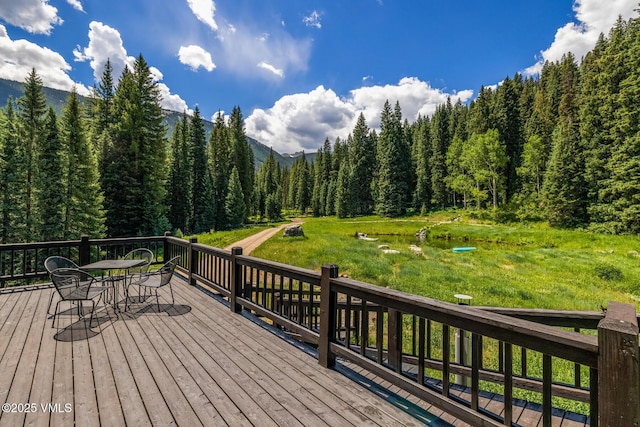801 Holy Cross Dr, Edwards, CO 81632