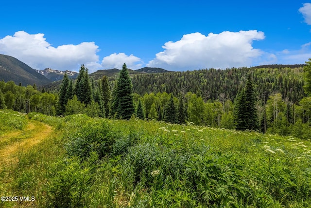 801 Holy Cross Dr, Edwards, CO 81632
