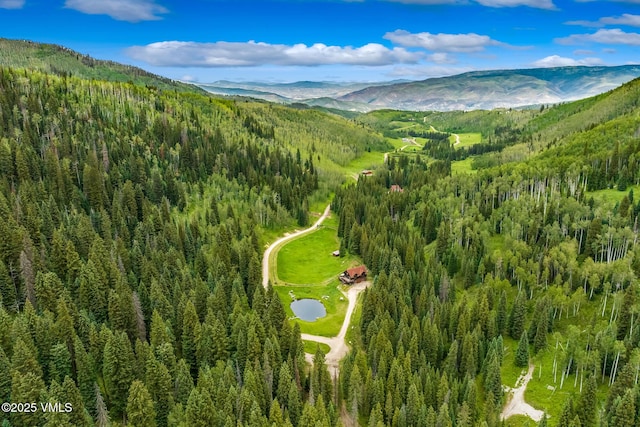 801 Holy Cross Dr, Edwards, CO 81632