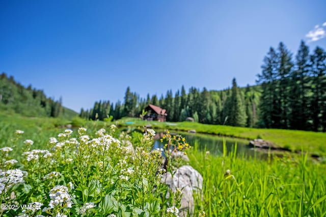 801 Holy Cross Dr, Edwards, CO 81632