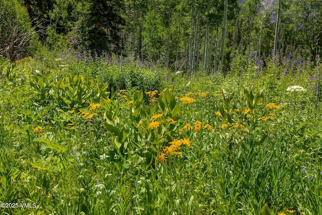 801 Holy Cross Dr, Edwards, CO 81632