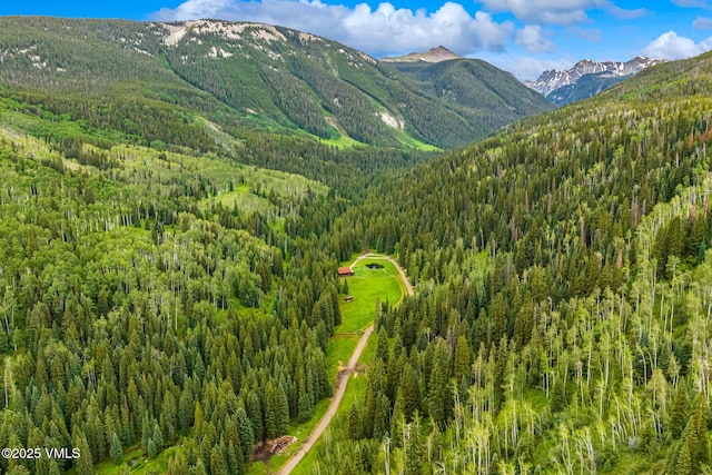 801 Holy Cross Dr, Edwards, CO 81632