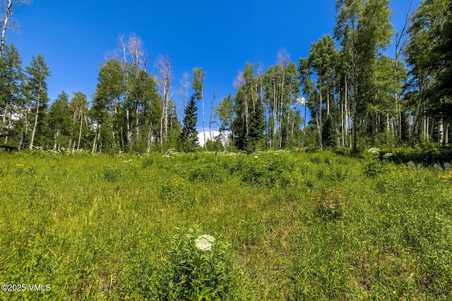 801 Holy Cross Dr, Edwards, CO 81632