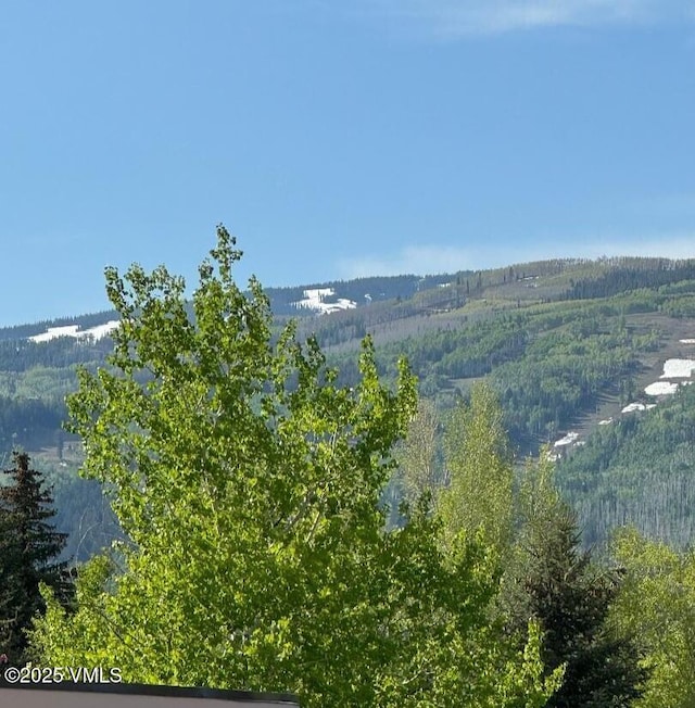 482 Charolais Cir, Edwards, CO 81632 - view of mountain background with a heavily wooded area