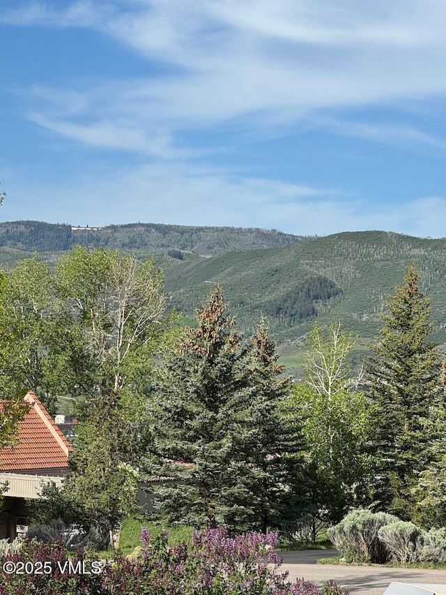 482 Charolais Cir, Edwards, CO 81632 - view of mountain background