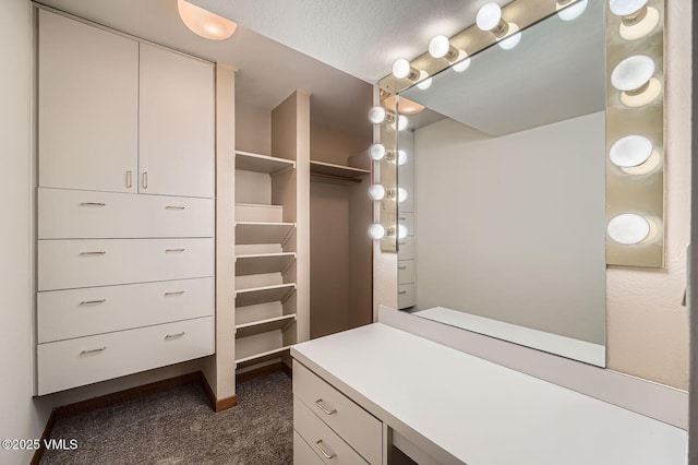482 Charolais Cir, Edwards, CO 81632 - walk in closet featuring dark carpet